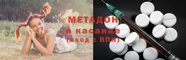 прущие грибы Карпинск