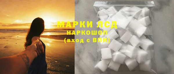 мяу мяу мука Иннополис