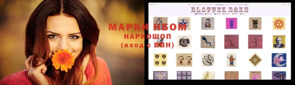 прущие грибы Карталы