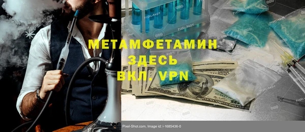 прущие грибы Карпинск