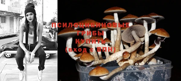 прущие грибы Карталы