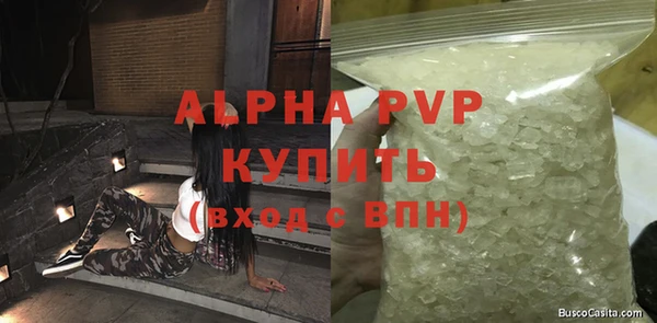 прущие грибы Карпинск