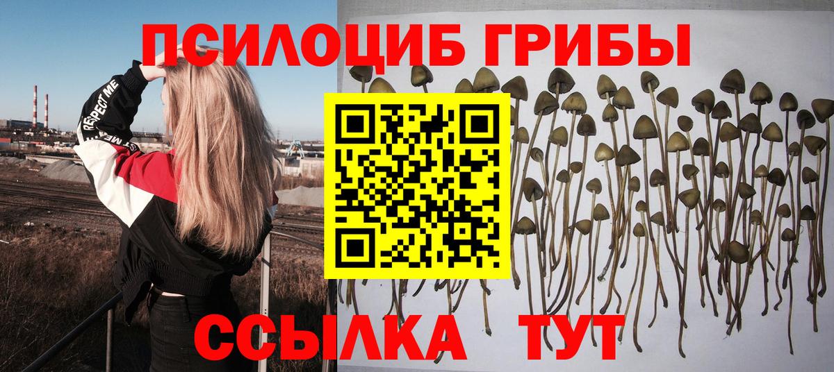 Галлюциногенные грибы Cubensis  Вход с VPN  Новый Уренгой  Псилоцибиновые грибы мухоморы 