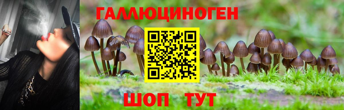 Псилоцибиновые грибы ЛСД Новый Уренгой